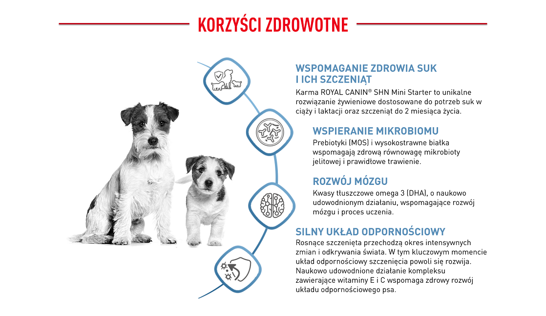 ROYAL CANIN Mini Starter Mother & Babydog 8 kg 